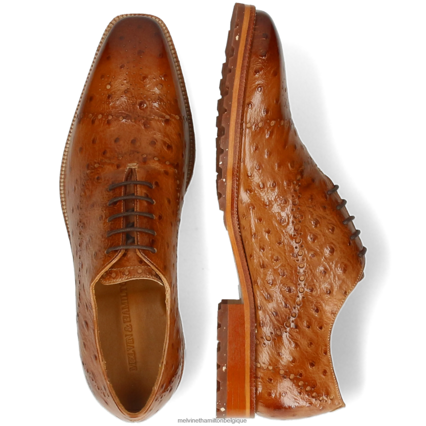 Melvin & Hamilton Hommes Jeff 8 R44228193 chaussures richelieu brun